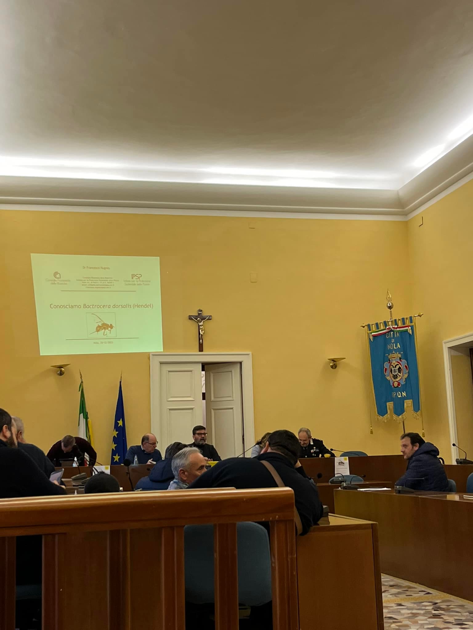 Dal Nocciolo all'Innovazione: Nola Punta sull'Economia Circolare